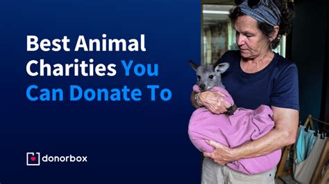 20 Best Animal Charities to Donate to (Complete 2024 List).
